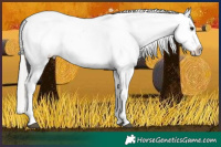 Horse Color:Silver Brown Tobiano Varnish 