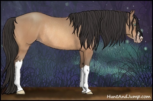 Horse Color:Amber Champagne Rabicano 