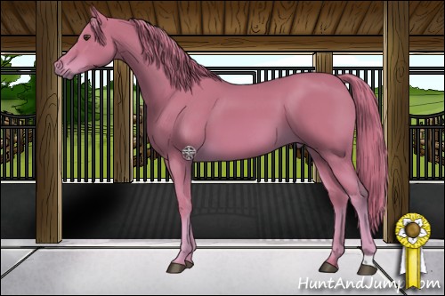 Horse Color:Watercolor Chestnut 