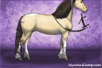 Horse Color:Buckskin Dun Tobiano 