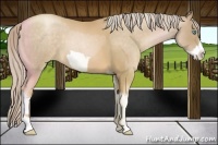 Horse Color:Chocolate Palomino Pearl Tobiano Frame  and Chocolate Palomino Roan Pearl Frame 
