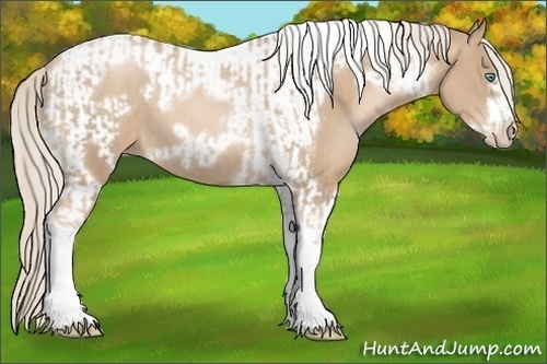 Horse Color:Chocolate Palomino Pearl Tobiano Frame  and Chocolate Palomino Pearl Tobiano Frame 