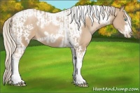Horse Color:Chocolate Palomino Pearl Tobiano Frame  and Chocolate Palomino Pearl Tobiano Frame 
