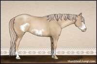 Horse Color:Chocolate Palomino Pearl Sabino Frame and Chocolate Palomino Pearl Sabino Splash Frame