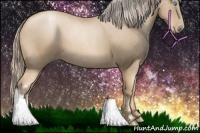 Horse Color:Chocolate Palomino Pearl  and Chocolate Palomino Roan Pearl 