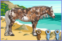 Horse Color:White Spotted Silver Brown Sabino  and Gray White Spotted Chocolate Palomino Pearl Sabino Frame 