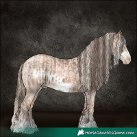 Horse Color:Gray Liver Chestnut Pearl Sabino Frame  and Chocolate Palomino Pearl Sabino Frame 