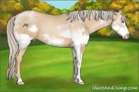 Horse Color:Chocolate Palomino Pearl Sabino Frame and White Spotted Chocolate Palomino Pearl Frame