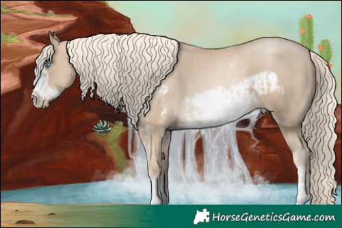 Horse Color:Chocolate Palomino Pearl Mushroom Sabino Frame  and Chocolate Palomino Pearl Mushroom Sabino Frame 