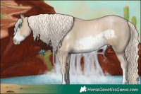 Horse Color:Chocolate Palomino Pearl Mushroom Sabino Frame  and Chocolate Palomino Pearl Mushroom Sabino Frame 