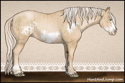 Horse Color:Chocolate Palomino Pearl Sabino Frame Rabicano and Palomino Pearl Sabino Frame Rabicano