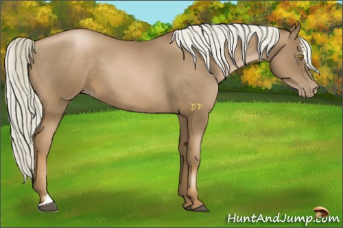Horse Color:Liver Chestnut Pearl Sabino 
