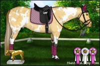 Horse Color:White Spotted Buckskin Dun Varnish