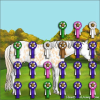 Horse Color:Buckskin Near Leopard 
