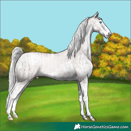 Horse Color:Platinum Chocolate Palomino Pearl Splash  and Platinum White Spotted Chocolate Palomino Pearl Splash 