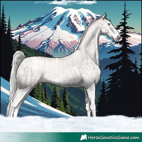 Horse Color:Platinum Chocolate Palomino Pearl Splash  and Platinum White Spotted Chocolate Palomino Pearl Splash 