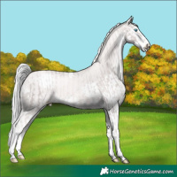 Horse Color:Platinum Chocolate Palomino Pearl Splash and Platinum White Spotted Chocolate Palomino Pearl Splash