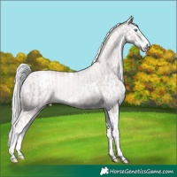 Horse Color:Platinum Chocolate Palomino Pearl Splash and Platinum White Spotted Chocolate Palomino Pearl Splash
