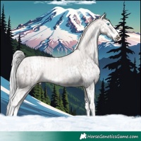 Horse Color:Platinum Chocolate Palomino Pearl Splash  and Platinum White Spotted Chocolate Palomino Pearl Splash 
