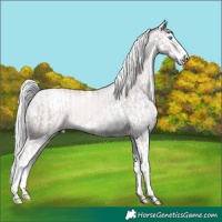 Horse Color:Platinum Chocolate Palomino Pearl Splash and Platinum White Spotted Chocolate Palomino Pearl Splash