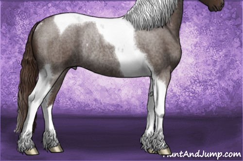 Horse Color:Liver Red Roan Tobiano Rabicano 