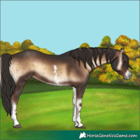 Horse Color:Liver Red Onyx Sabino Brindle 