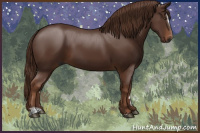 Horse Color:Gray Chestnut Sabino 