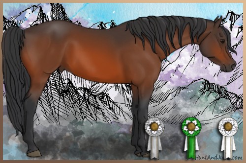 Horse Color:Brown Sabino