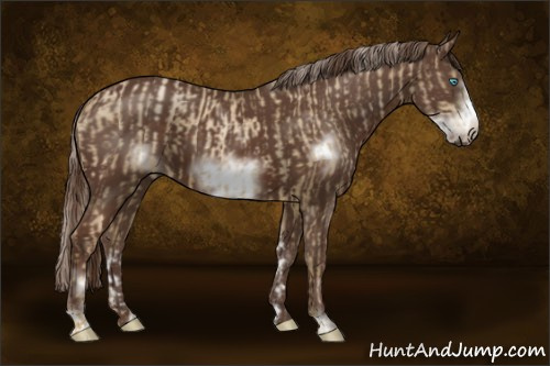 Horse Color:Chocolate Palomino Pearl Sabino Frame  and Liver Chestnut Sabino Frame 
