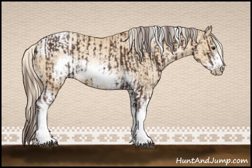 Horse Color:Liver Chestnut Sabino Frame  and Palomino Pearl Sabino Tobiano Frame 