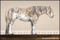 Horse Color:Liver Chestnut Sabino Frame  and Palomino Pearl Sabino Tobiano Frame 