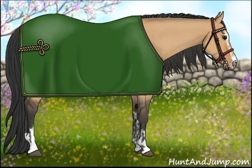 Horse Color:Bay Dun Sabino  and Bay Dun Sabino 