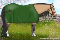 Horse Color:Bay Dun Sabino  and Bay Dun Sabino 