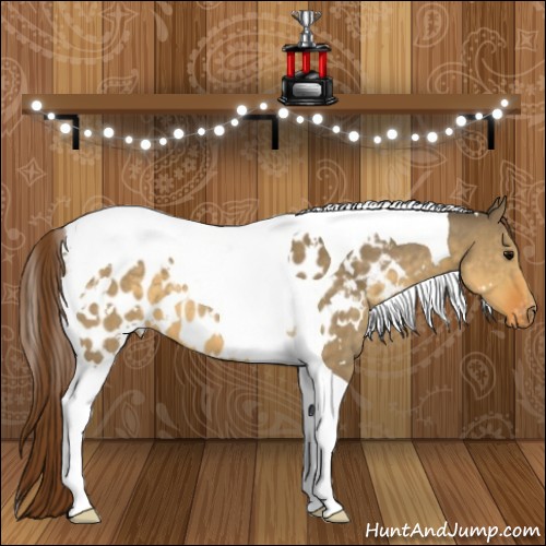 Horse Color:White Spotted Buckskin Dun Tobiano Appaloosa 