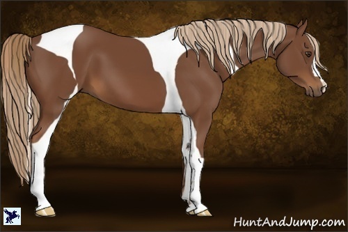 Horse Color:Chestnut Tobiano 