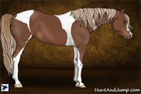 Horse Color:Chestnut Tobiano