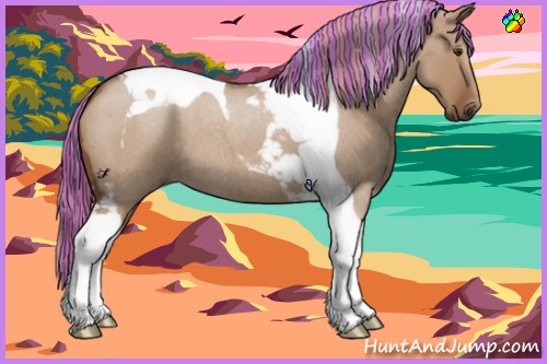 Horse Color:Painted Red Dun Roan Tobiano 