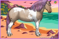 Horse Color:Painted Red Dun Roan Tobiano 