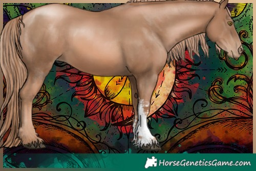 Horse Color:Liver Chestnut Pearl Sabino 