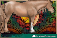 Horse Color:Liver Chestnut Pearl Sabino 