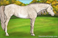 Horse Color:Chocolate Palomino Pearl Sabino Frame  and Chocolate Palomino Pearl Dun Sabino Frame 