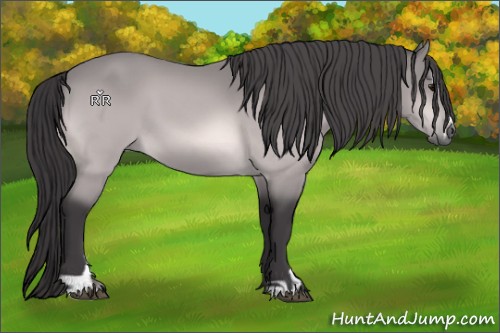 Horse Color:Platinum Buckskin Sabino 