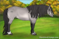 Horse Color:Platinum Buckskin Sabino 