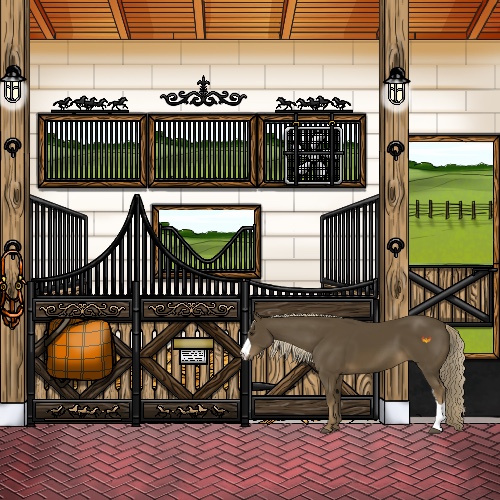 Horse Color:Chocolate Palomino 