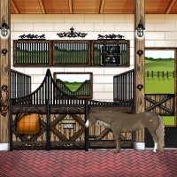 Horse Color:Chocolate Palomino