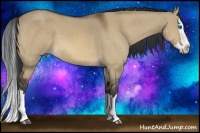 Horse Color:Bay Dun Sabino Splash
