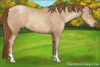 Horse Color:Smoky Black Pearl 