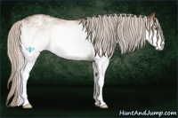 Horse Color:White Spotted Silver Bay Dun Snowflake Varnish 