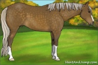 Horse Color:Silver Buckskin 