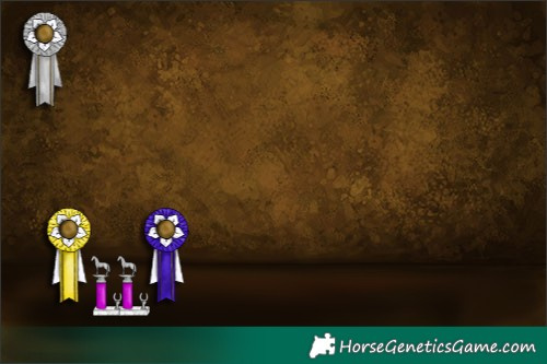 Horse Color:Black Sabino  and Black Sabino 